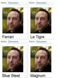 Wikipedia Donation Banner Captions