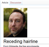 Wikipedia Donation Banner Captions