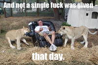 And Not a Single Fuck Was Given That Day