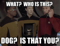 Yes, This is Dog