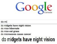 Google Search Box Suggestions 
