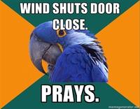 Paranoid Parrot