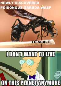 I Don't Want to Live on This Planet Anymore