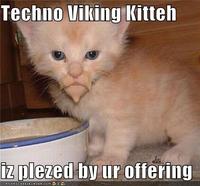 Technoviking