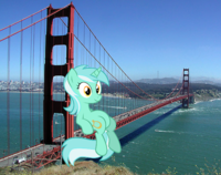 Sitting Lyra