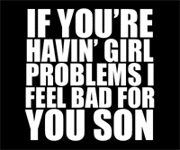 I Got 99 Problems But a Bitch Ain't One