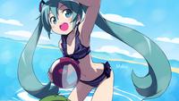 Miku Hatsune / Vocaloid