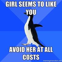 Socially Awkward Penguin