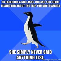 Socially Awkward Penguin