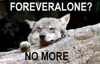 Ignorant to Adversity wolf