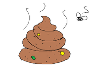 62a.png