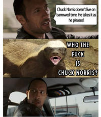 The Rock Driving