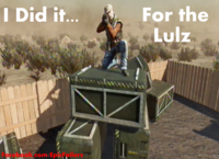 I Did It for the Lulz