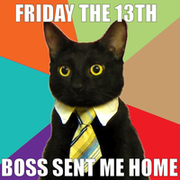 Business Cat