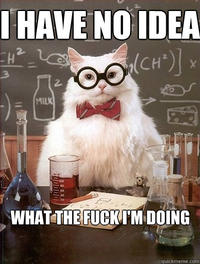 I Have No Idea What I'm Doing