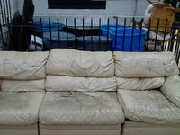 Fuck Yo Couch