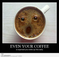 Things With Faces (Pareidolia)