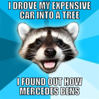 Lame Pun Coon