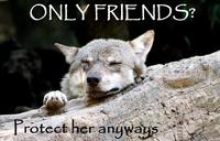 Ignorant to Adversity wolf