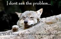 Ignorant to Adversity wolf