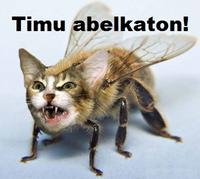 LOLcats