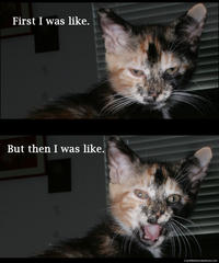 At First I Was Like...