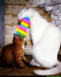 Puking Rainbows