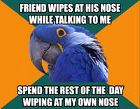 Paranoid Parrot