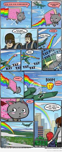 Nyan Cat / Pop Tart Cat