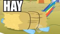 Pony Reactions