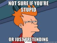 Futurama Fry / Not Sure If X