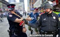 Casually Pepper Spray Everything Cop
