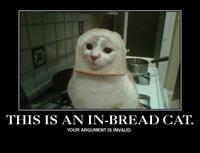 Cat Breading
