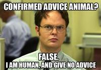 Schrute Facts