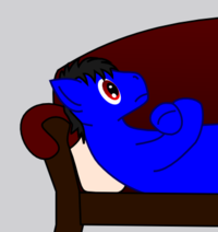 9d2.png