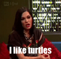 I Like Turtles