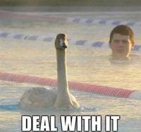 Deal With It