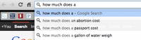 Google Search Box Suggestions 