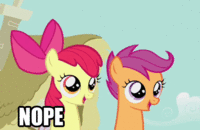 Pony Reactions