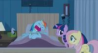 Pony Reactions