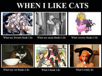 What People Think I Do / What I Really Do