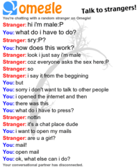Omegle Spy Mode