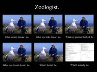 What People Think I Do / What I Really Do