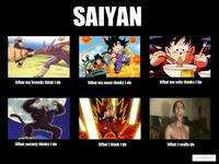 What People Think I Do / What I Really Do