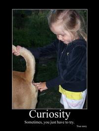 Demotivational Posters