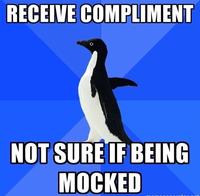 Socially Awkward Penguin