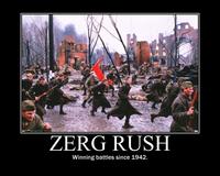 Zerg Rush