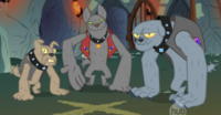 My Little Pony Character Fandom