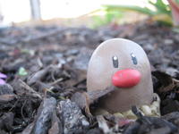 Diglett Underground