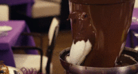 Chocolate Bird